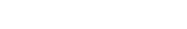 T13